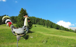 003 - stille trotz güggel